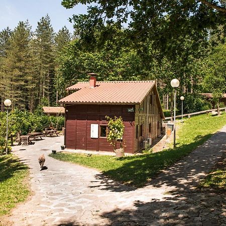 Gaztainuzketa Mendi Etxeak Apartamento Leintz-Gatzaga Exterior foto